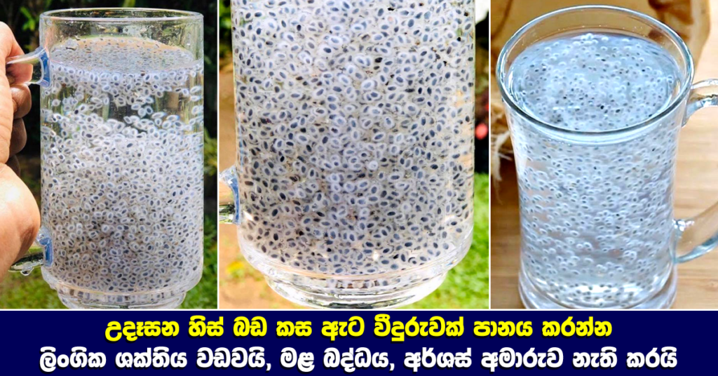 Health Benefits of Basil Seeds kasa kasa ata  Sarbath Seed 